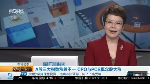 05球亚赔解析：深度解读25球总入球策略